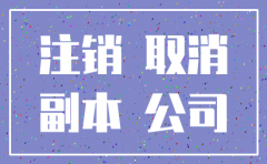 深圳公司自然独资地税注销