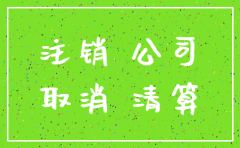 攀枝花公司注销