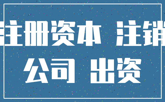 注册资本 注销_公司 出资
