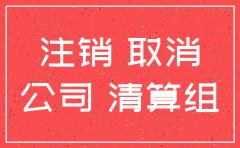 深圳公司注销在哪登报