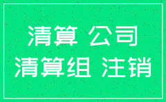 公司注销债权债务说明范文