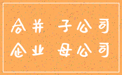 被注销子公司的现金流