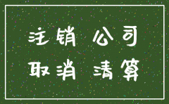 上海市公司注销的条件