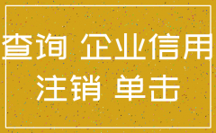 怎样查询注销公司名称