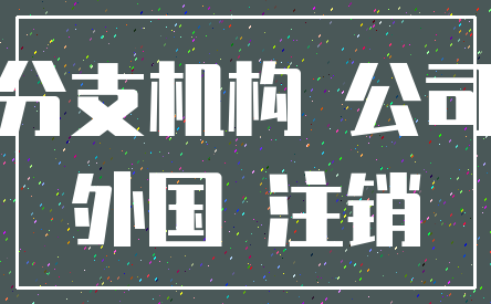 分支机构 公司_外国 注销