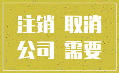 泰安注销公司代理