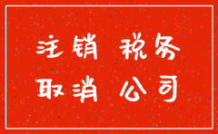 独立核算分公司税务注销