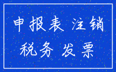 公司注销去国税带什么材料