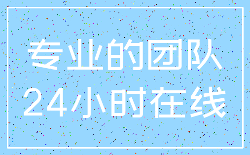 专业的团队_24小时在线