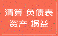 本期注销的子公司资产负债表