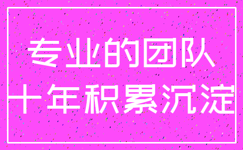 专业的团队_十年积累沉淀