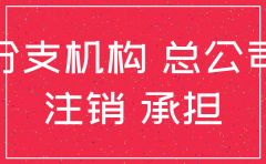 分公司注销后账务分录备注