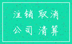 子公司注销废业流程图