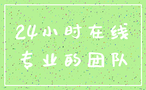 24小时在线_专业的团队