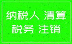 公司注销怎么填报