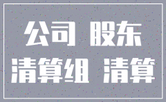 公司注销清算董事会决议