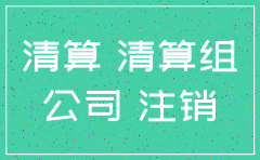 公司注销税务清算审计报告资料