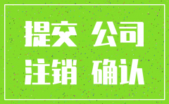 广州工商局公司注销公告系统