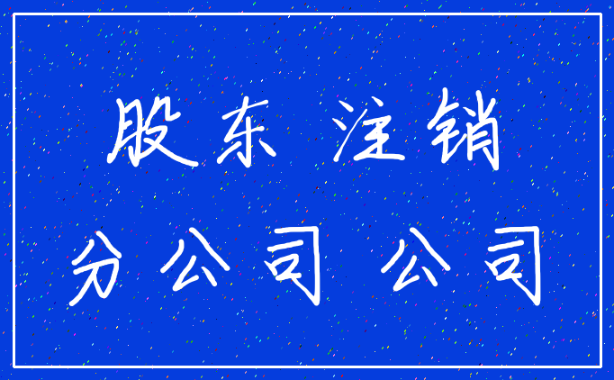 股东 注销_分公司 公司