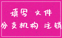 分公司 注销登记文书  填写