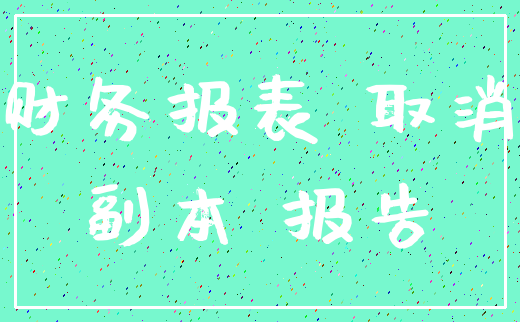 财务报表 取消_副本 报告