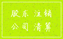 公司注销需要的股东出资确认书
