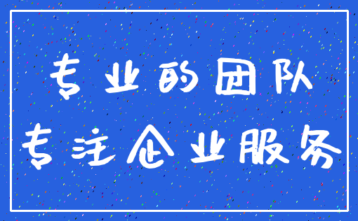 专业的团队_专注企业服务