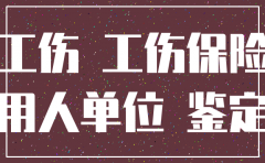 公司注销工伤申请书