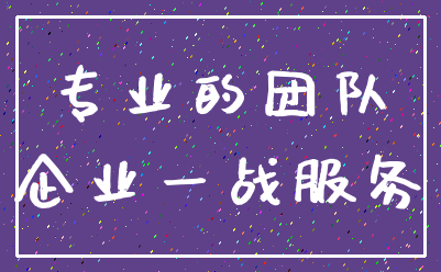 专业的团队_企业一战服务