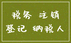分公司注销国税需要什么手续