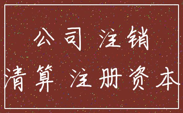公司 注销_清算 注册资本