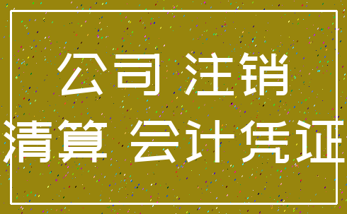 公司 注销_清算 会计凭证