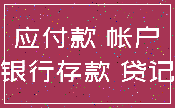 应付款 帐户_银行存款 贷记