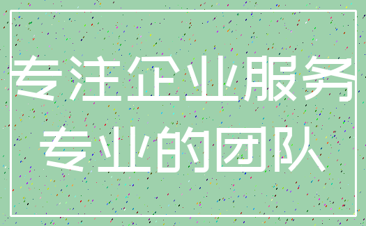 专注企业服务_专业的团队