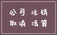 天津的公司怎么注销