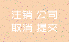 武汉投资公司注销流程
