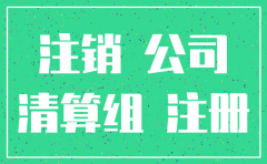 注销分公司剩余财产情况说明