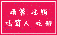 独资公司注销申请书