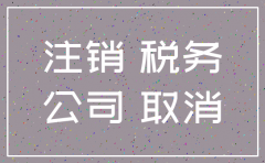 公司没有税务登记注销流程