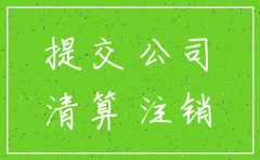一家公司注销需要备什么资料