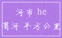 漯河注销公司