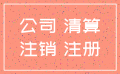 注册了一个公司想注销怎么办理吗