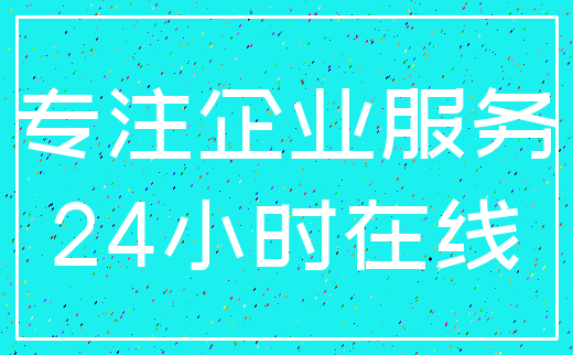 专注企业服务_24小时在线