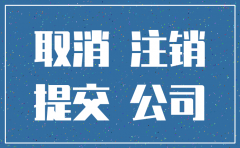 注册了一个公司想注销吗