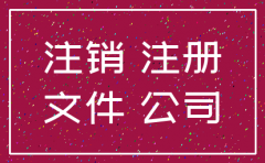 分公司工商注销申请表