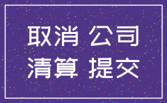 公司注销提供哪些账本