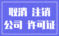 注销公司对账册模板