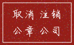 深圳如何在网上做注销公司
