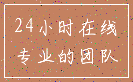24小时在线_专业的团队