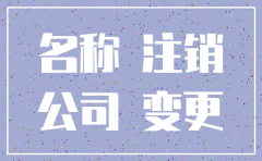 佛山市公司注销更名